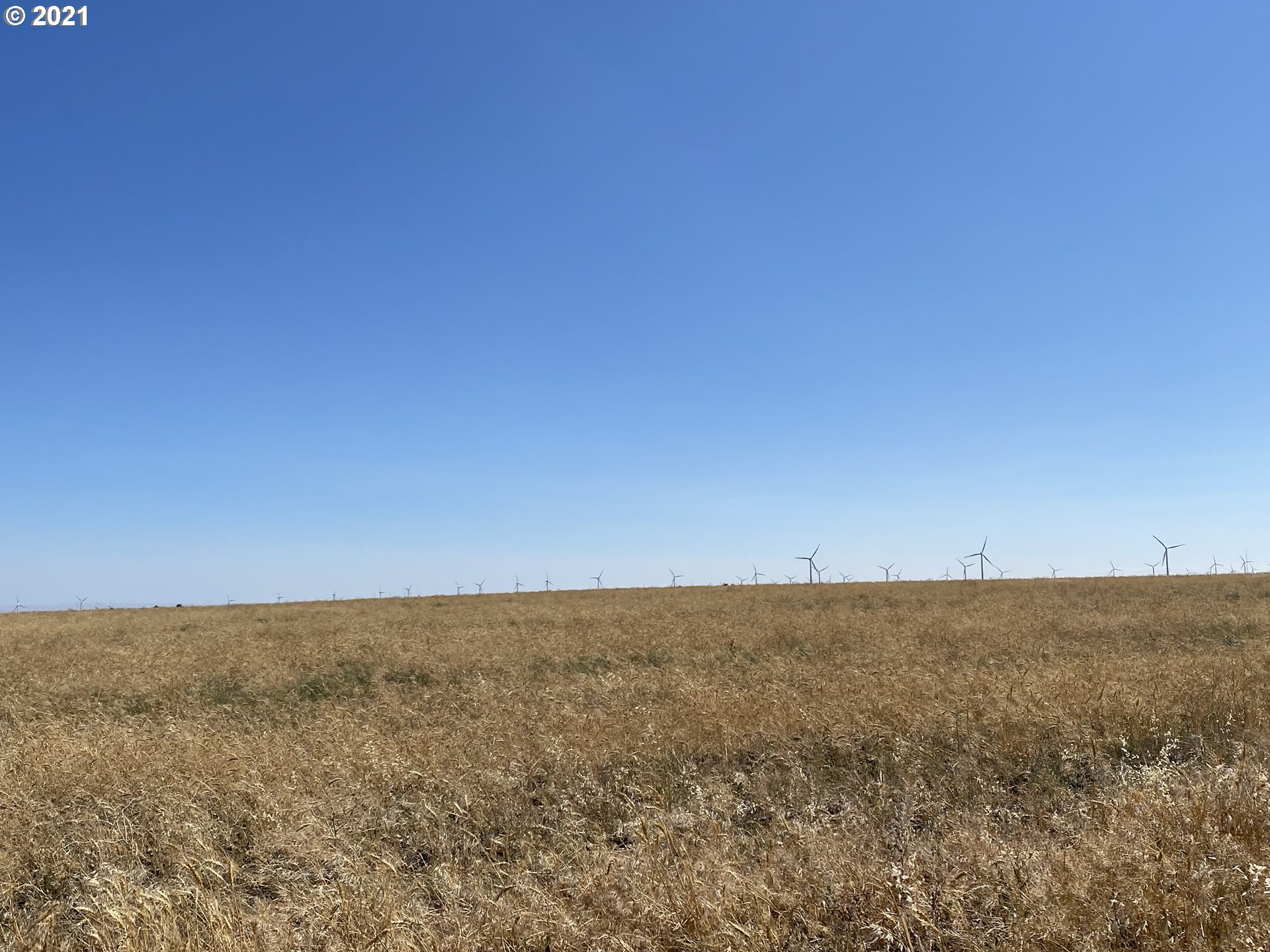 Crider Valley Road Bickleton, WA 99322 - Photo 6 of 7 a view of an ocean