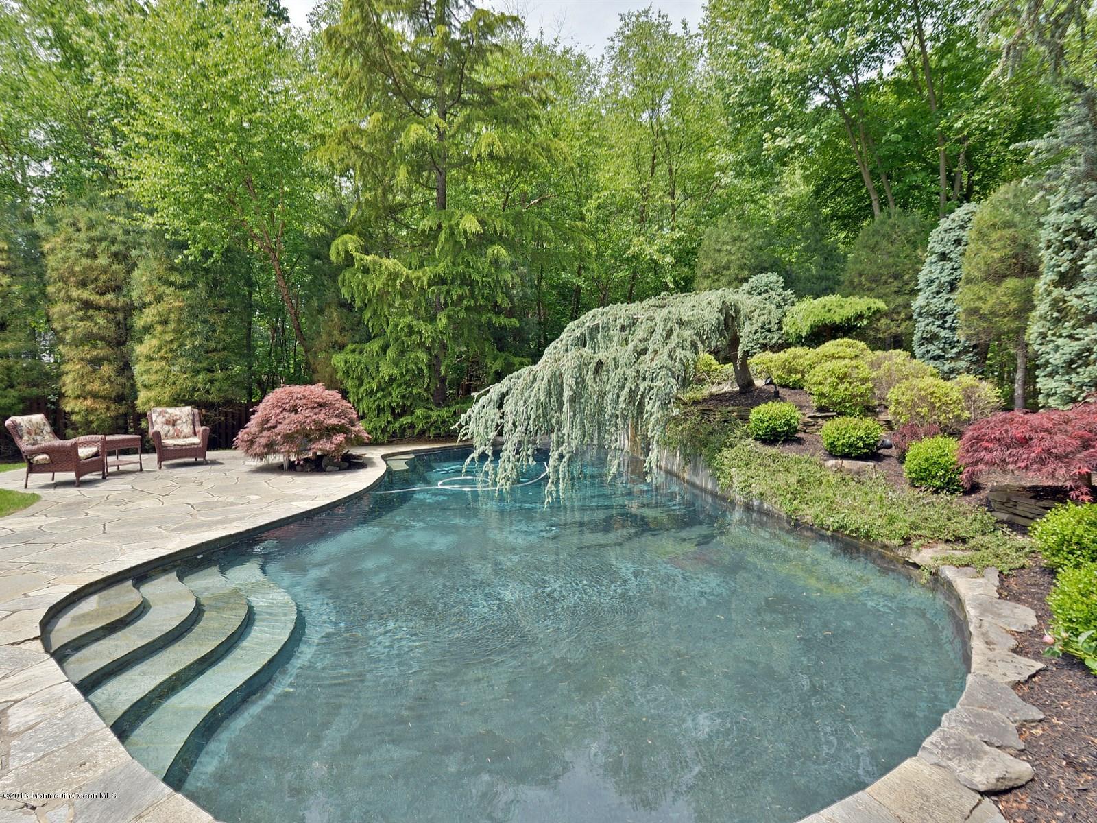 52 Oxford Road Manalapan, NJ 07726 - Photo 36 of 49 Pool