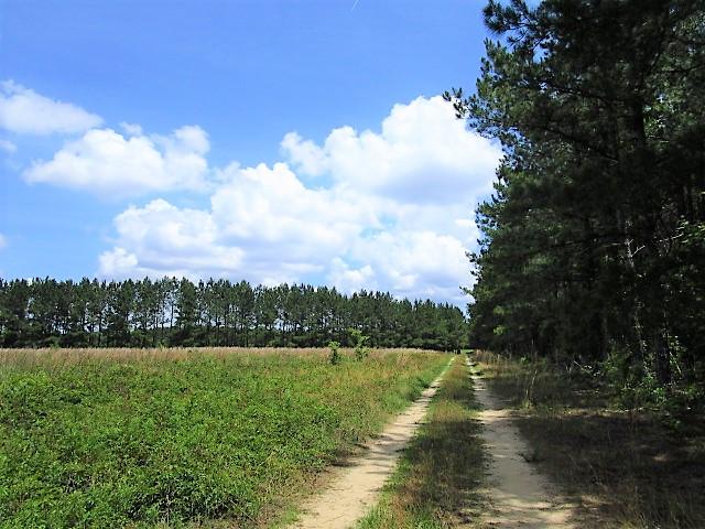 Drive Throughout The Property