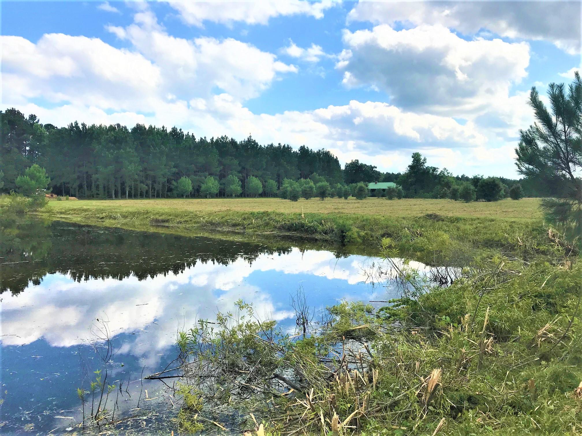 1398 Epps Road New Zion, SC 29111 - Photo 22 of 43 Ponds