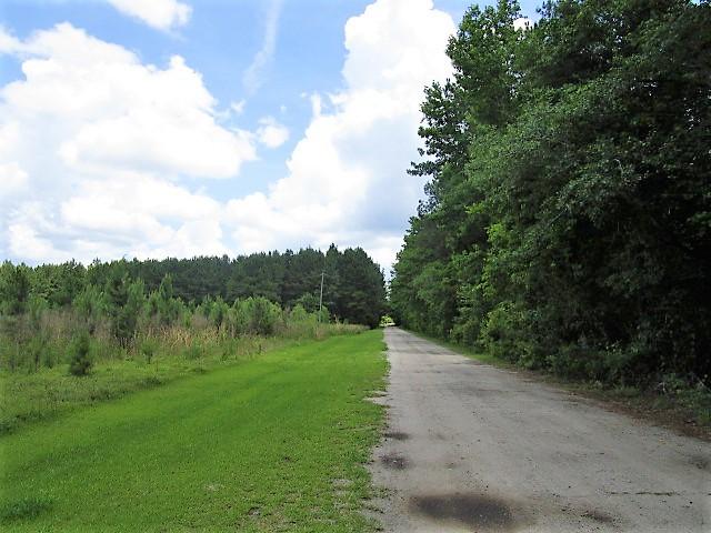 Entrance  Road