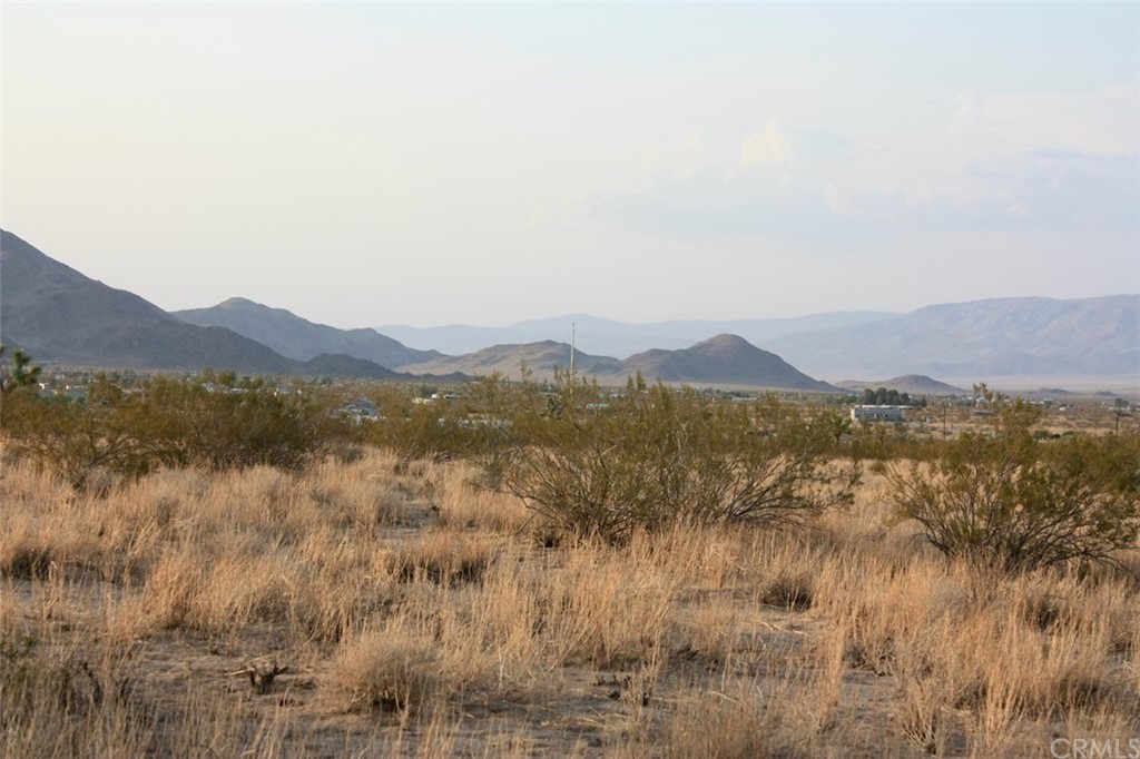 424 Ducor Avenue Landers, CA 92285 - Photo 4 of 11 The tower in the center of the photo is Frontier Communication's high speed internet tower, currently the fastest internet service available in Landers. This property has very good line-of-sight and would get very good service.