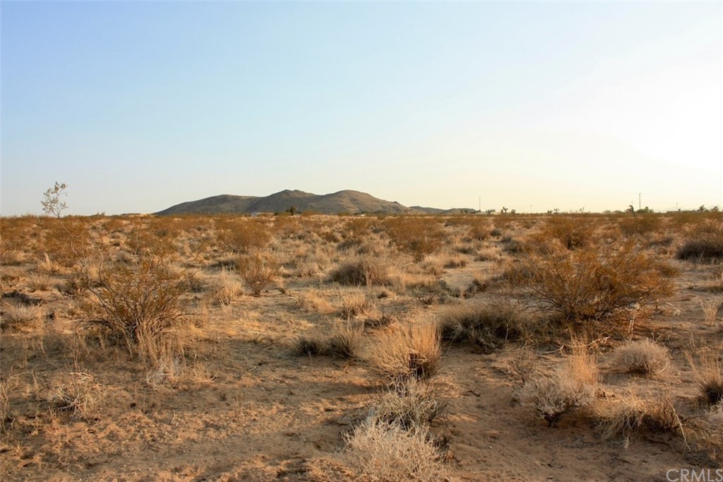 424 Ducor Avenue Landers, CA 92285 - Photo 5 of 11 The view to the south west