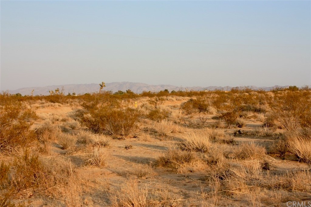 424 Ducor Avenue Landers, CA 92285 - Photo 8 of 11 Looking towards Hidalgo Mountain on the Marine base