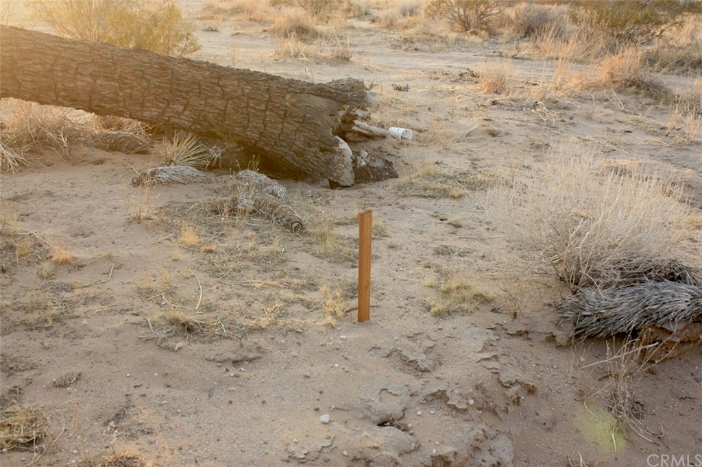 424 Ducor Avenue Landers, CA 92285 - Photo 9 of 11 The corners are marked. It's unknown if they were done by surveyor or a previous owner. The markers can at least serve as a guide to where the corners generally are located.
