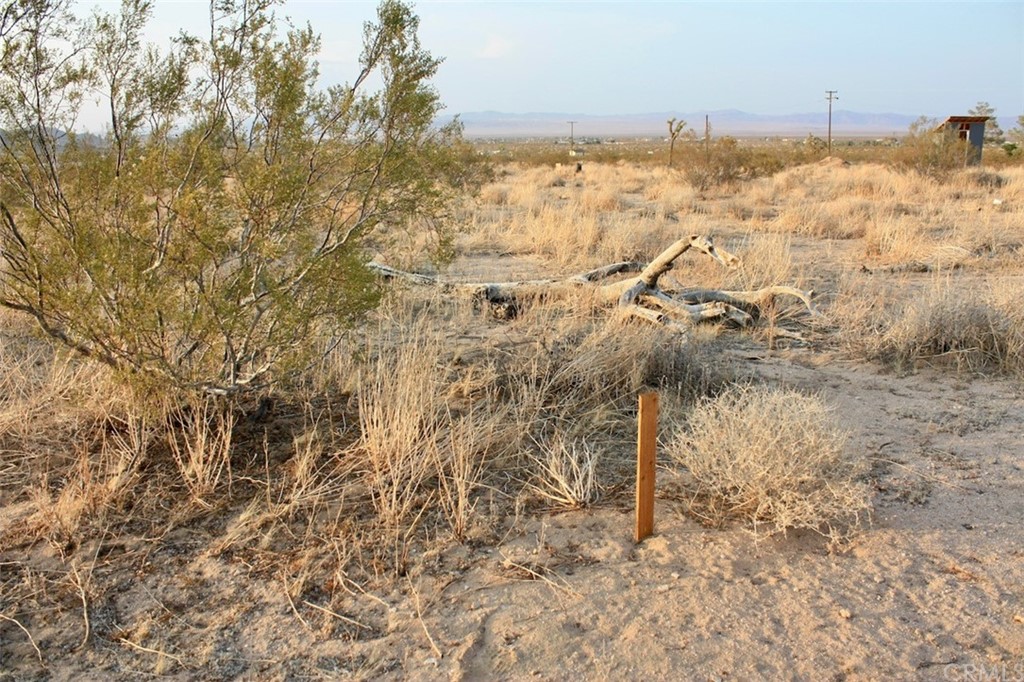424 Ducor Avenue Landers, CA 92285 - Photo 10 of 11 The corners are marked. It's unknown if they were done by surveyor or a previous owner. The markers can at least serve as a guide to where the corners generally are located.