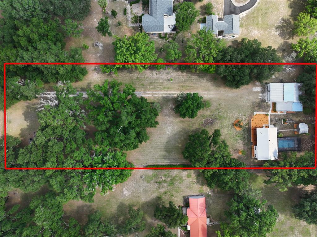 11008 Browning Road Lithia, FL 33547 - Photo 81 of 88