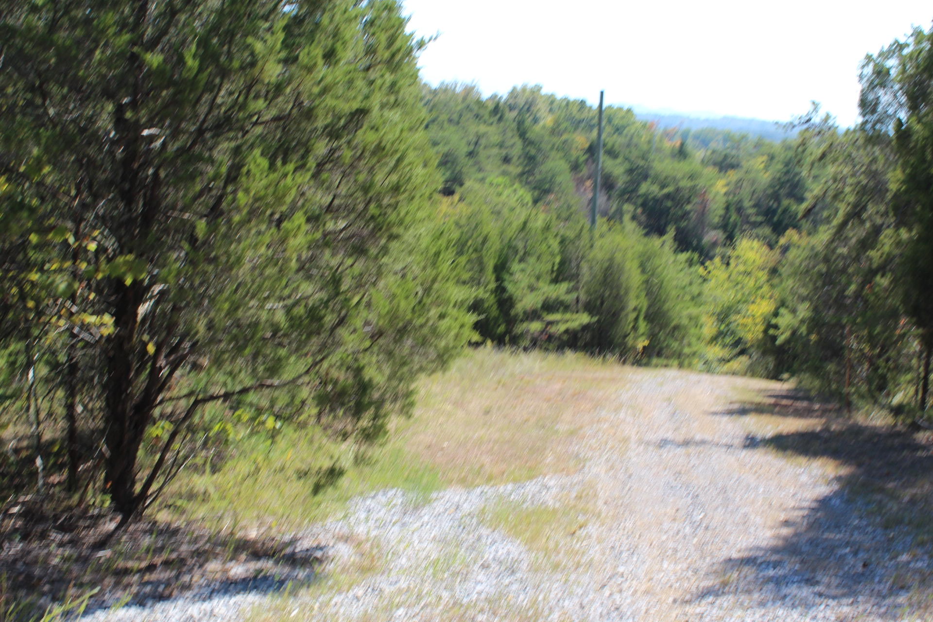 Lot 11 Pleasure Road Sevierville, TN 37876 - Photo 14 of 21 2016-10-05 15.12.21