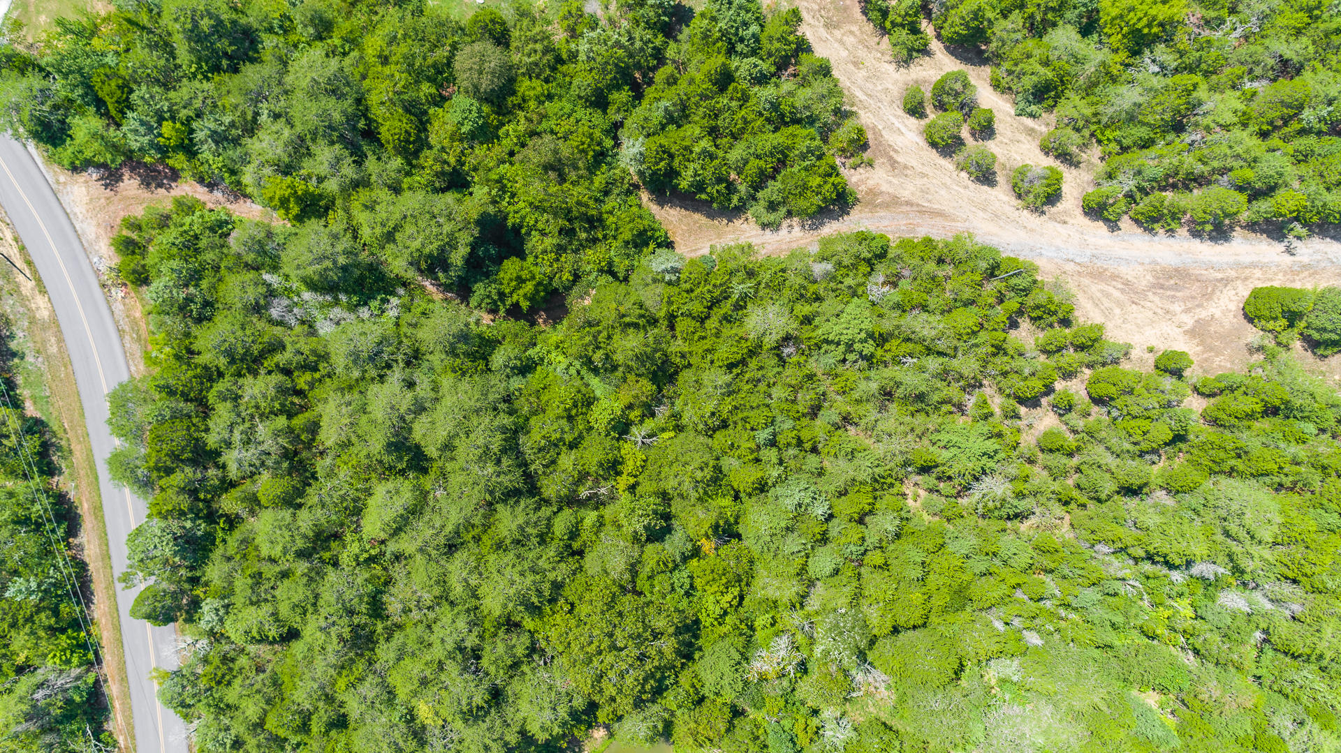 Lot 11 Pleasure Road Sevierville, TN 37876 - Photo 4 of 21 -9
