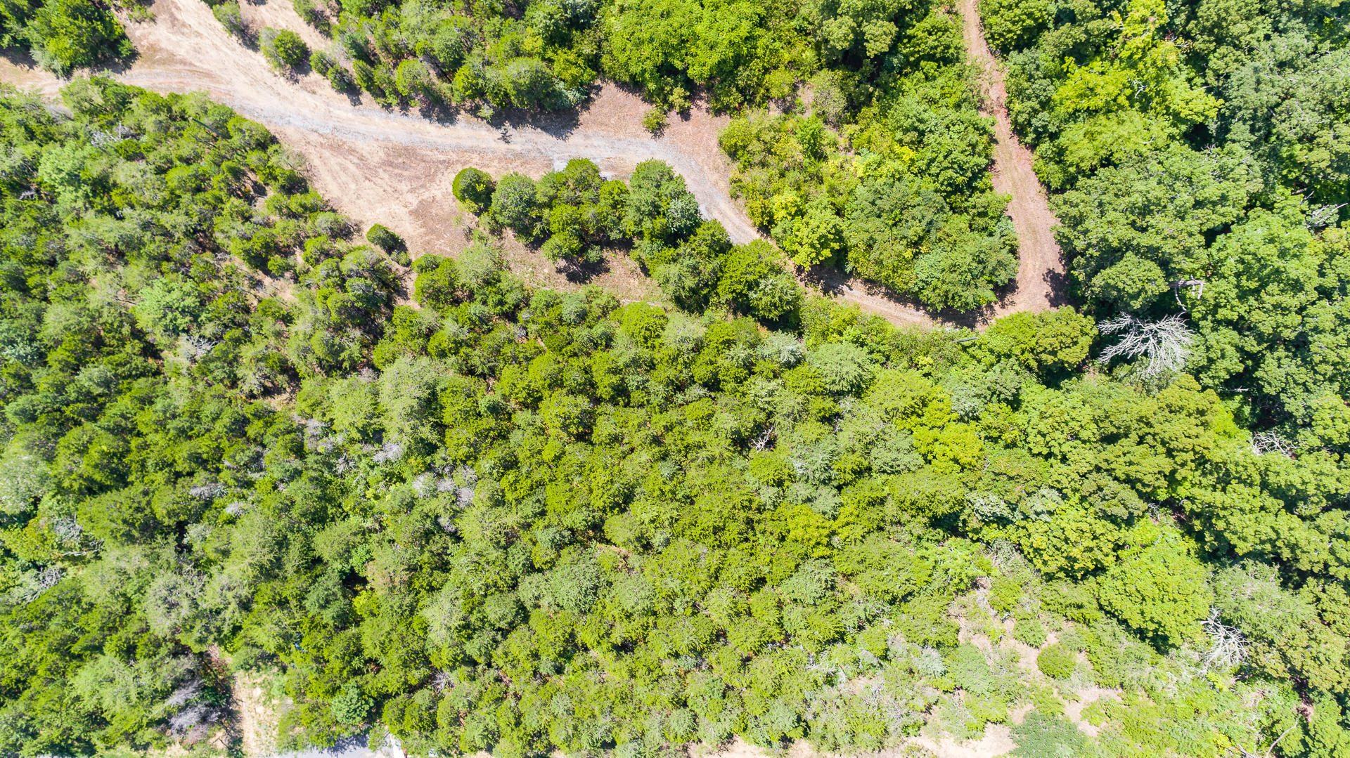 Lot 11 Pleasure Road Sevierville, TN 37876 - Photo 6 of 21 -10