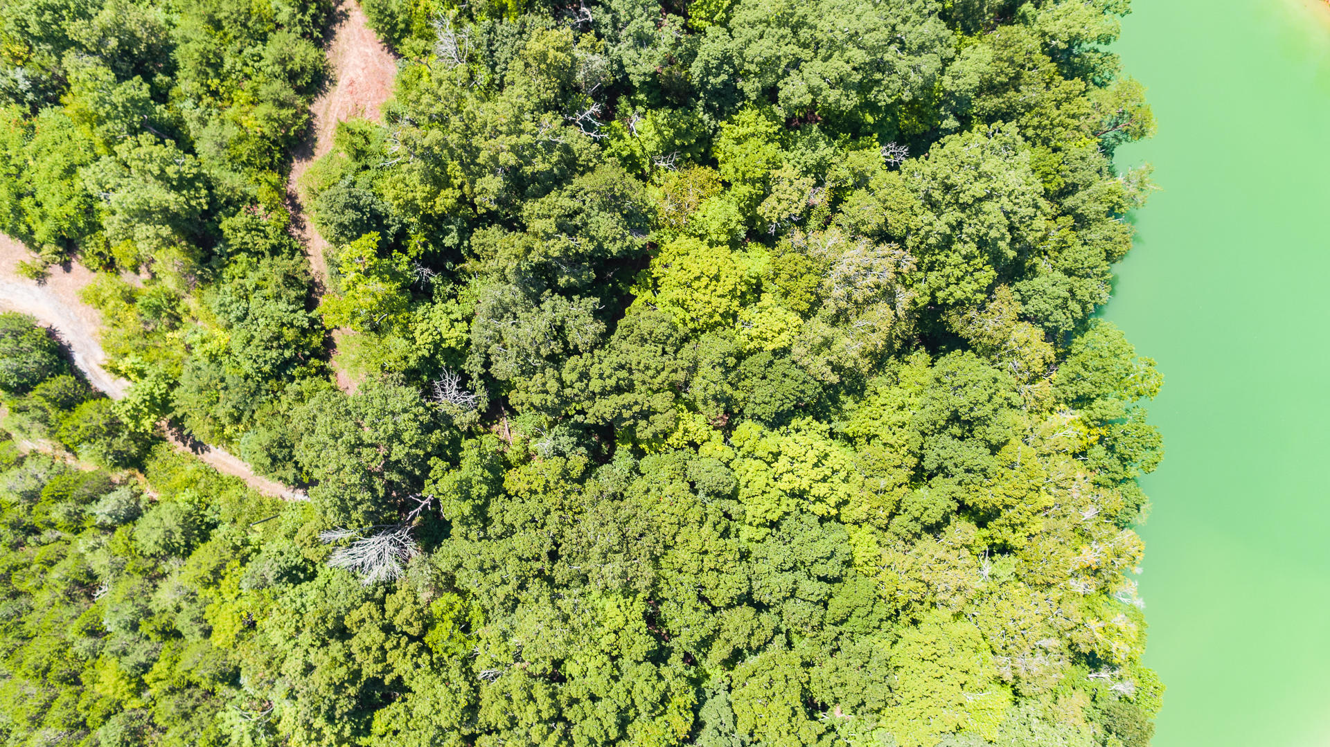 Lot 11 Pleasure Road Sevierville, TN 37876 - Photo 7 of 21 -11