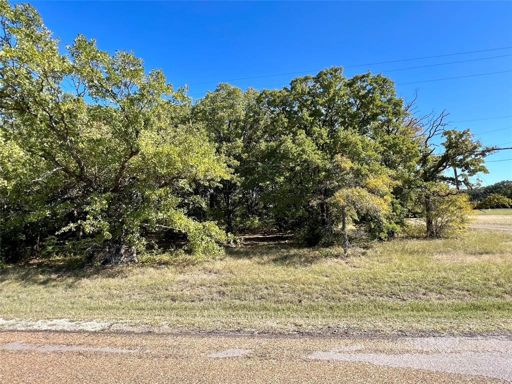 0 Water Oak Road Trinidad, TX 75163 - Photo 1 of 9
