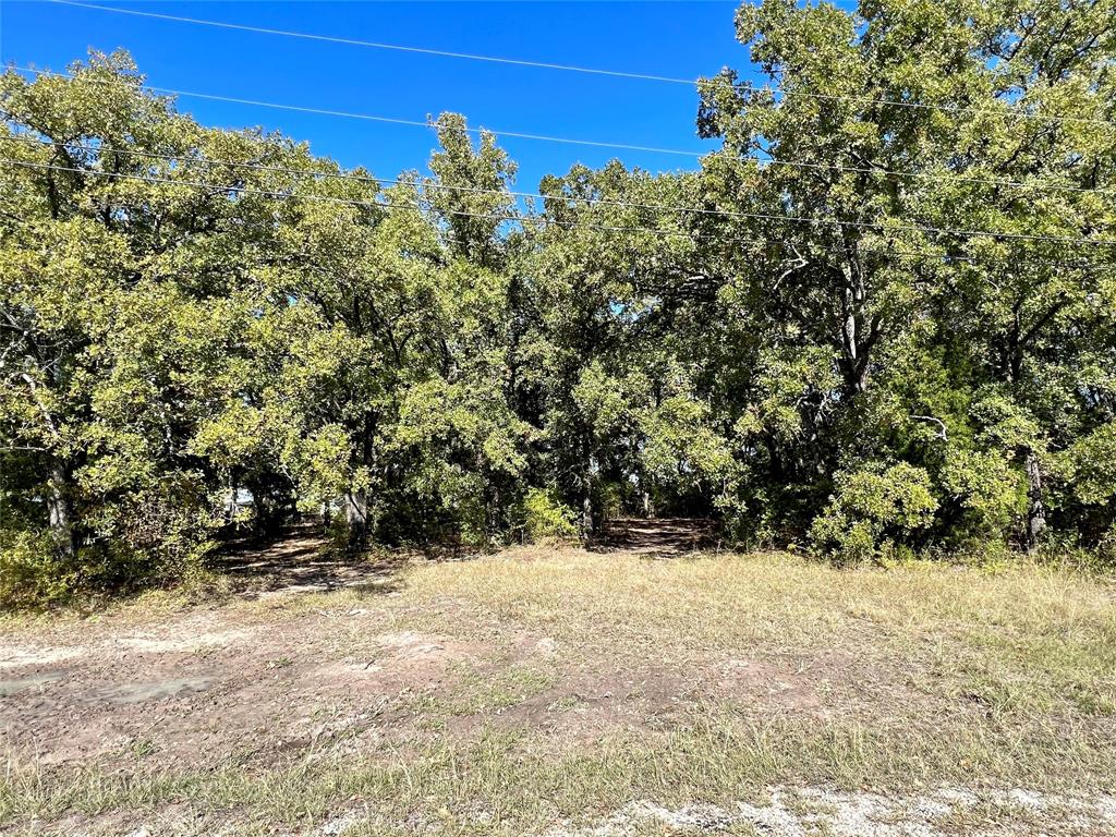 0 Water Oak Road Trinidad, TX 75163 - Photo 5 of 9