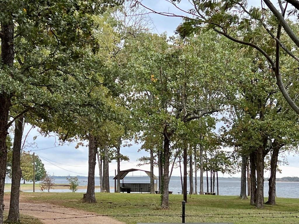 0 Water Oak Road Trinidad, TX 75163 - Photo 9 of 9