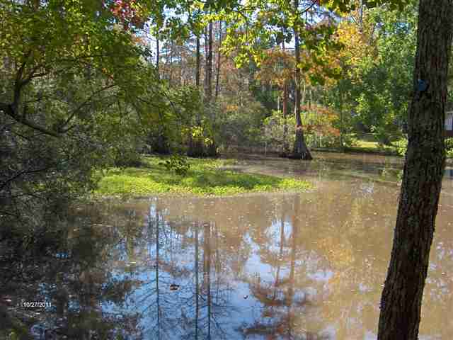 81 Pool Place, Unit 66 Georgetown, SC 29440 - Photo 10 of 14 Gallery Image 10