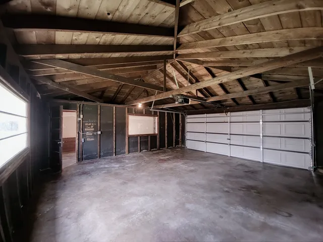 a view of a backyard with plants and large tree