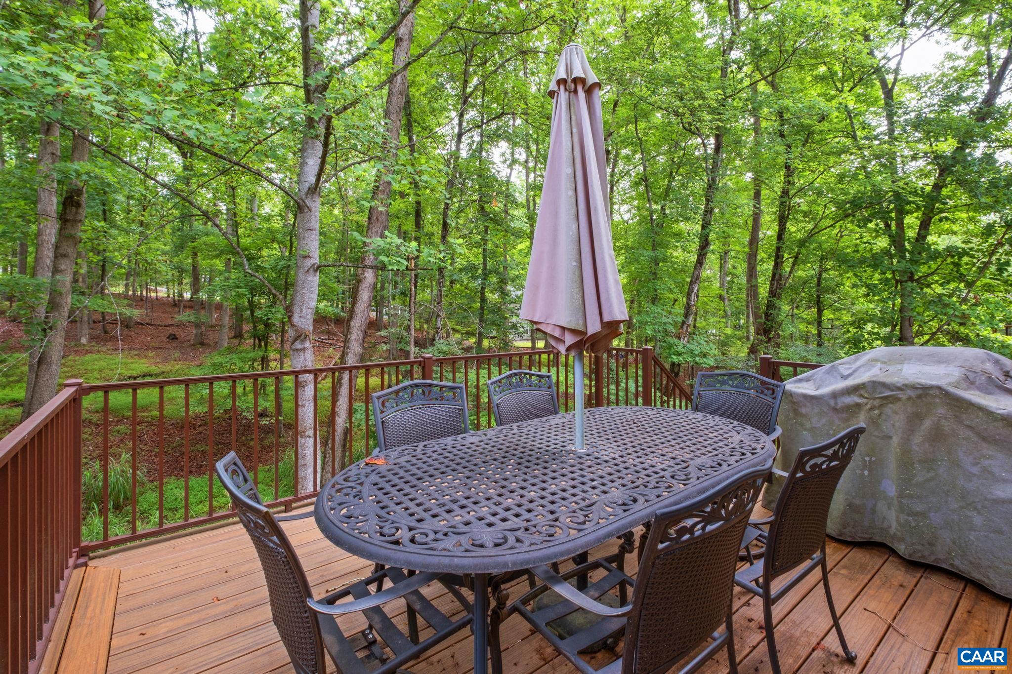 45 Amethyst Road Palmyra, VA 22963 - Photo 24 of 31