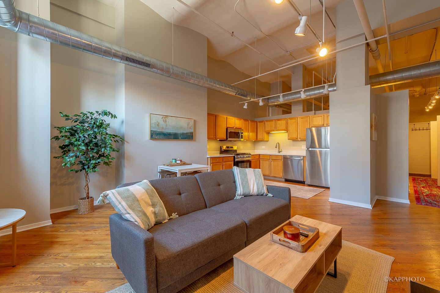 500 South Clinton Street, Unit 133 Chicago, IL 60607 - Photo 4 of 28 a living room with furniture and a potted plant