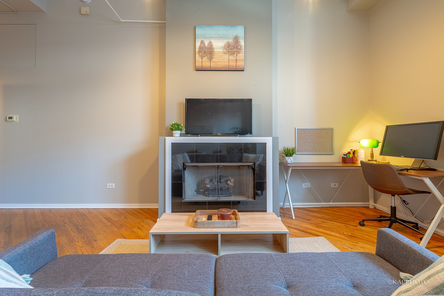 500 South Clinton Street, Unit 133 Chicago, IL 60607 - Photo 7 of 28 a living room with furniture and a fireplace