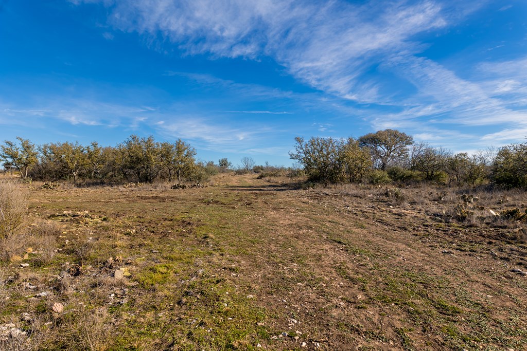 497 County Road Melvin, TX 76858 - Photo 22 of 44 a view of a field with trees in background