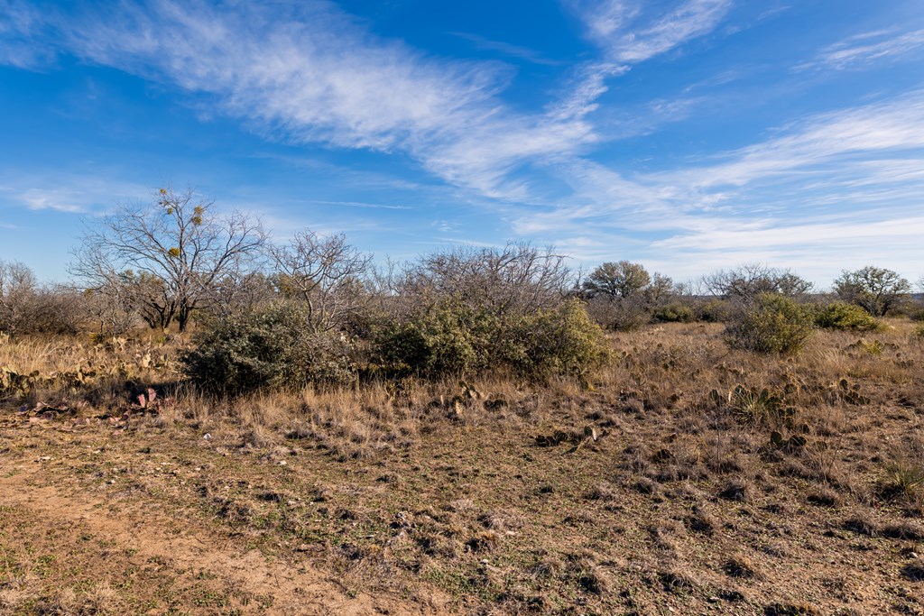 497 County Road Melvin, TX 76858 - Photo 25 of 44 a view of a yard with wooden fence
