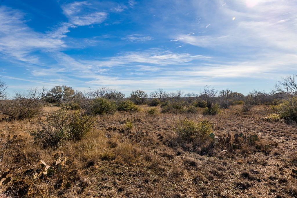 497 County Road Melvin, TX 76858 - Photo 26 of 44 a view of a yard