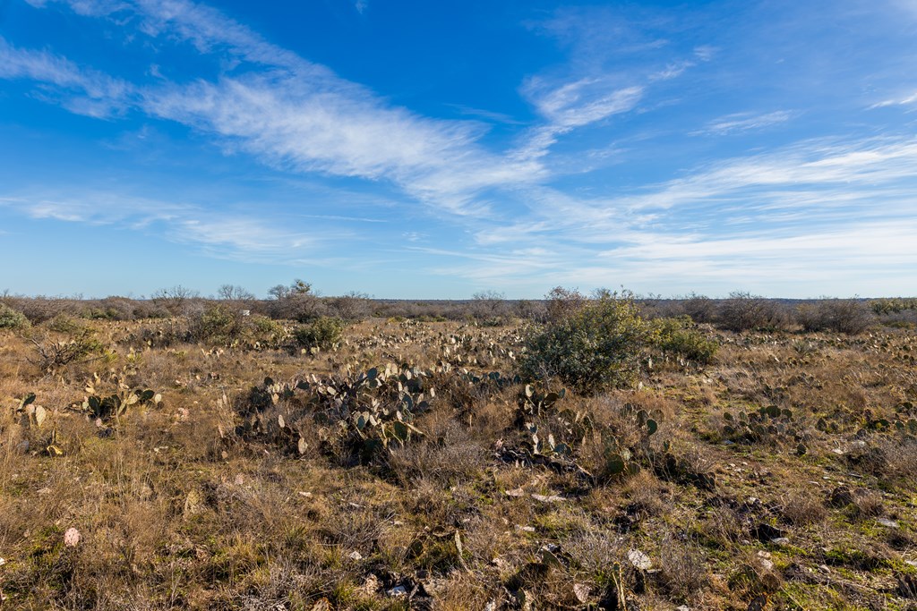 497 County Road Melvin, TX 76858 - Photo 27 of 44 a view of a large building