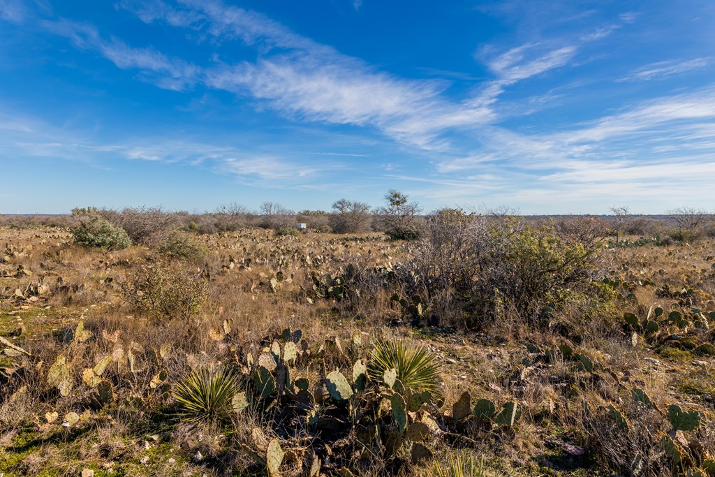 497 County Road Melvin, TX 76858 - Photo 28 of 44 a view of a city