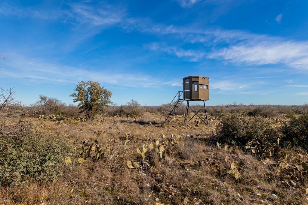 497 County Road Melvin, TX 76858 - Photo 30 of 44 a view of a dry yard with wooden fence