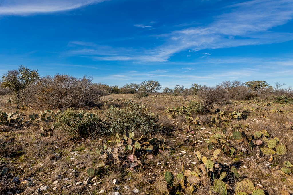 497 County Road Melvin, TX 76858 - Photo 31 of 44 a view of a large body of water with lots of trees