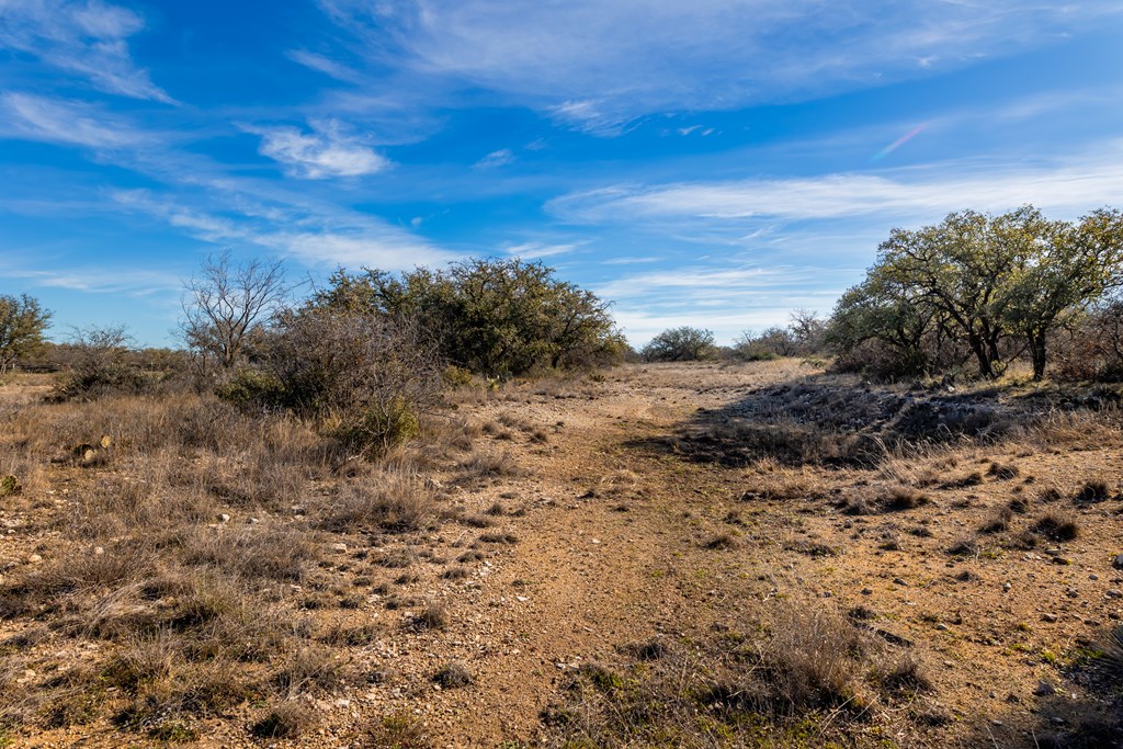 497 County Road Melvin, TX 76858 - Photo 34 of 44 a view of a dry field with lots of bushes