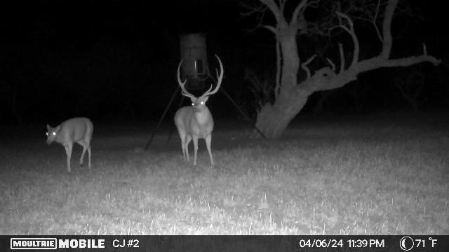 497 County Road Melvin, TX 76858 - Photo 41 of 44