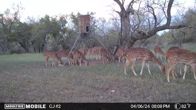 497 County Road Melvin, TX 76858 - Photo 42 of 44 a view of outdoor space