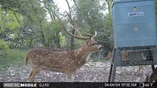 497 County Road Melvin, TX 76858 - Photo 44 of 44 a view of a yard