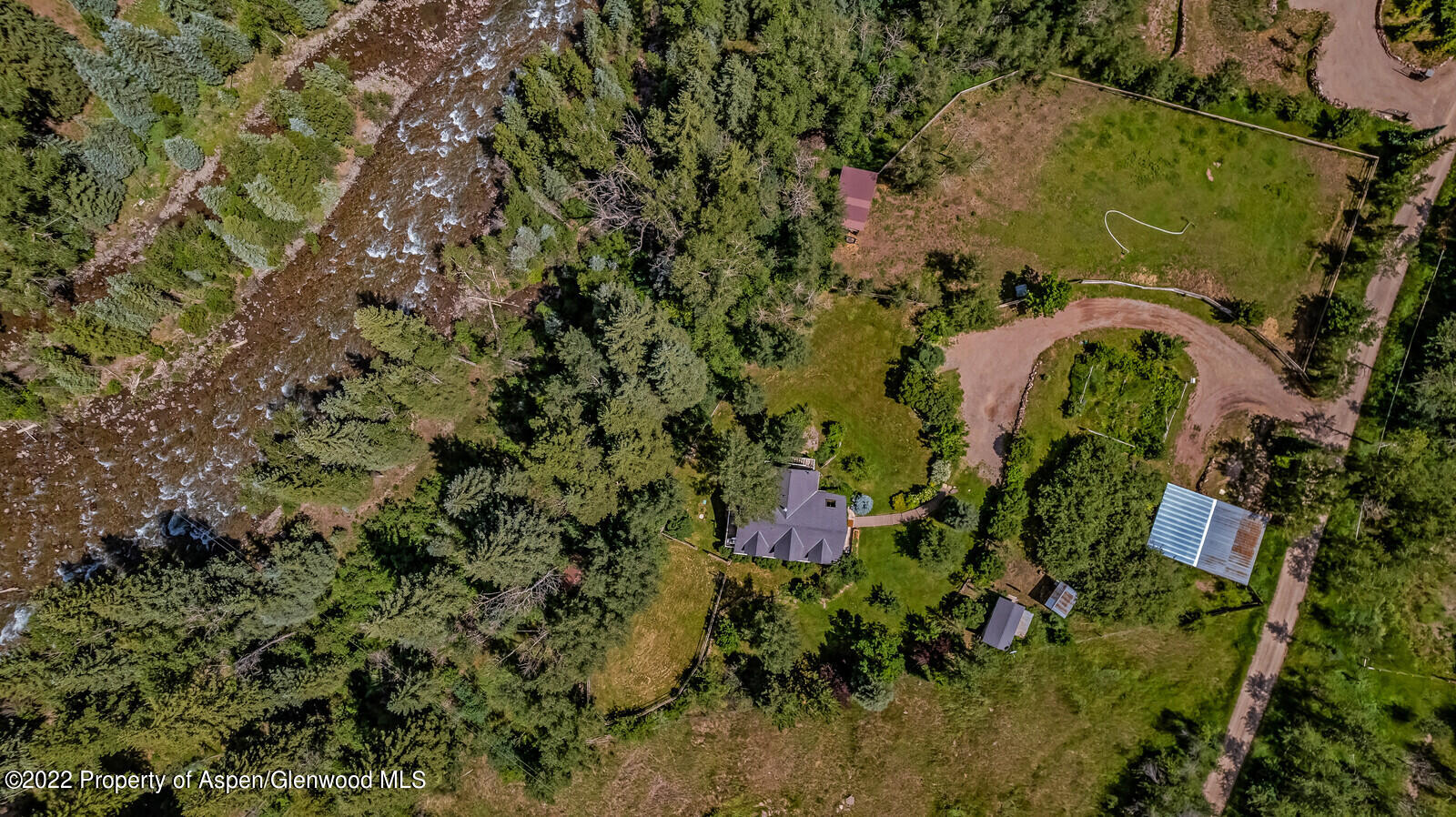 800 Dorais Way Redstone, CO 81623 - Photo 2 of 35 a view of a plant in a garden