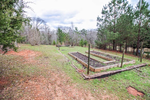 7730 Lower Blue Springs Road Hamilton, GA 31811 - Photo 24 of 25 Gallery Image 24