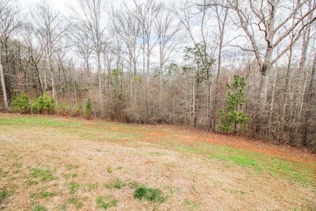 7730 Lower Blue Springs Road Hamilton, GA 31811 - Photo 25 of 25 Gallery Image 25