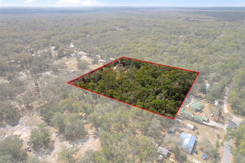 11881 Southwest 45th Street Webster, FL 33597 - Photo 26 of 27 a view of a dry plant in a yard