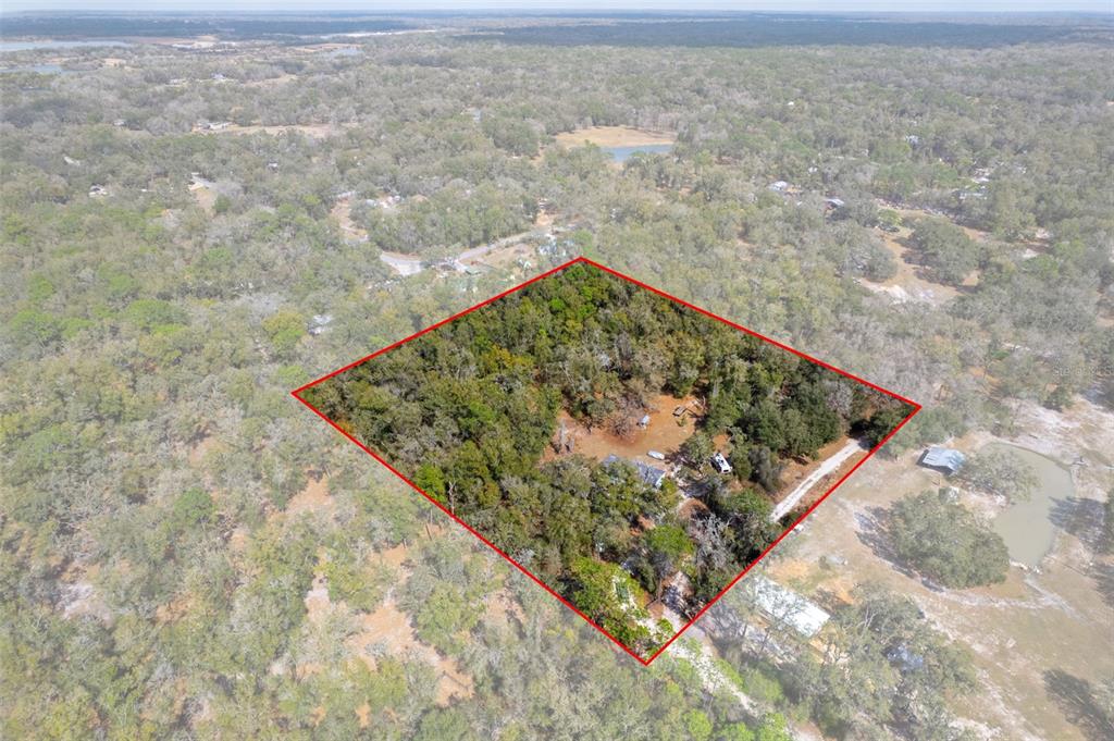 11881 Southwest 45th Street Webster, FL 33597 - Photo 3 of 27 a view of a dry plant in a yard
