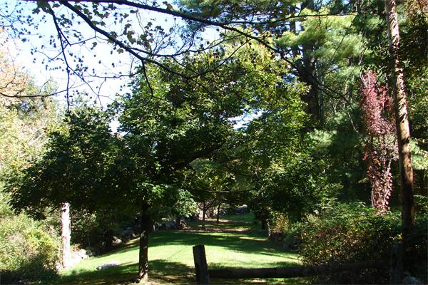 195 Harvard Road Littleton, MA 01460 - Photo 1 of 4