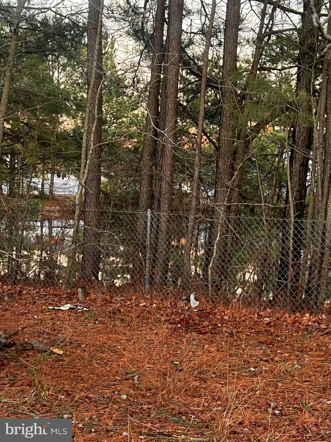 1012 Miles Avenue Cambridge, MD 21613 - Photo 13 of 26