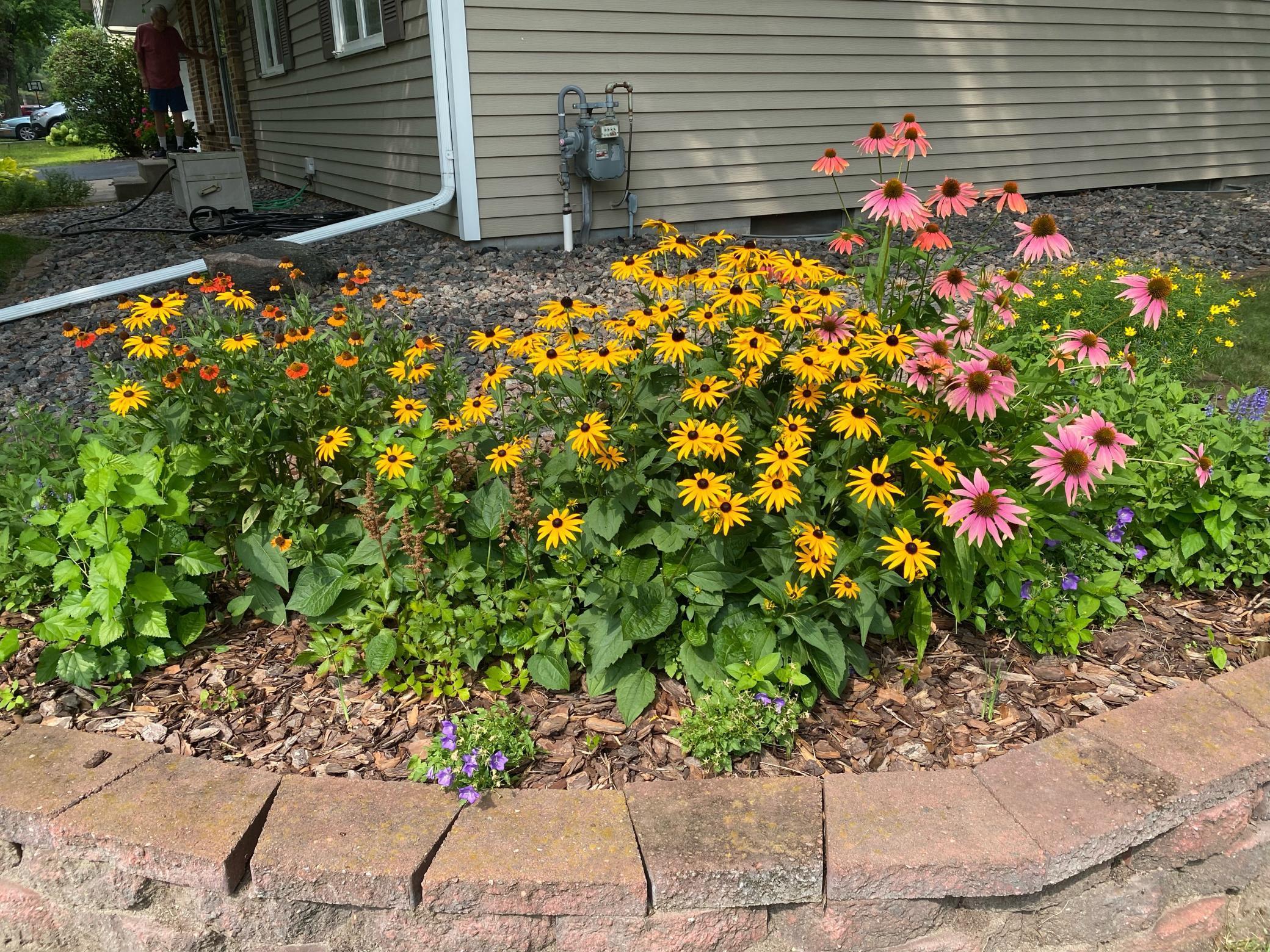 10156 Pilgrim Lane North Maple Grove, MN 55369 - Photo 34 of 35