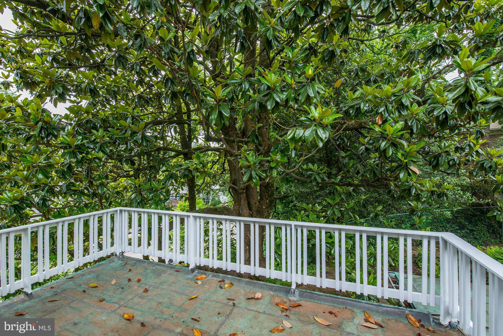 4711 Reservoir Road Northwest Washington, DC 20007 - Photo 14 of 30 Balcony off owner's bedroom