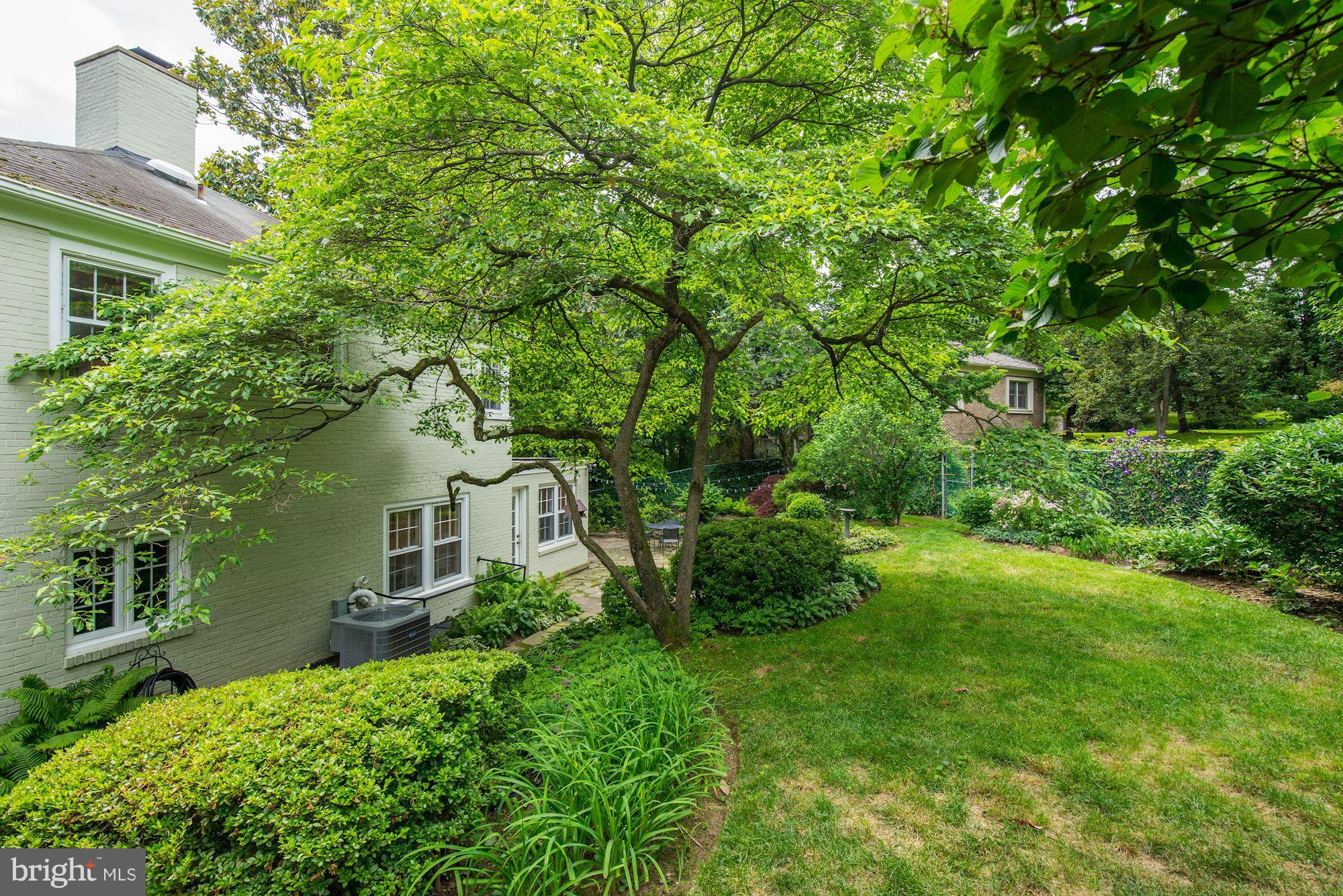 4711 Reservoir Road Northwest Washington, DC 20007 - Photo 23 of 30 Backyard