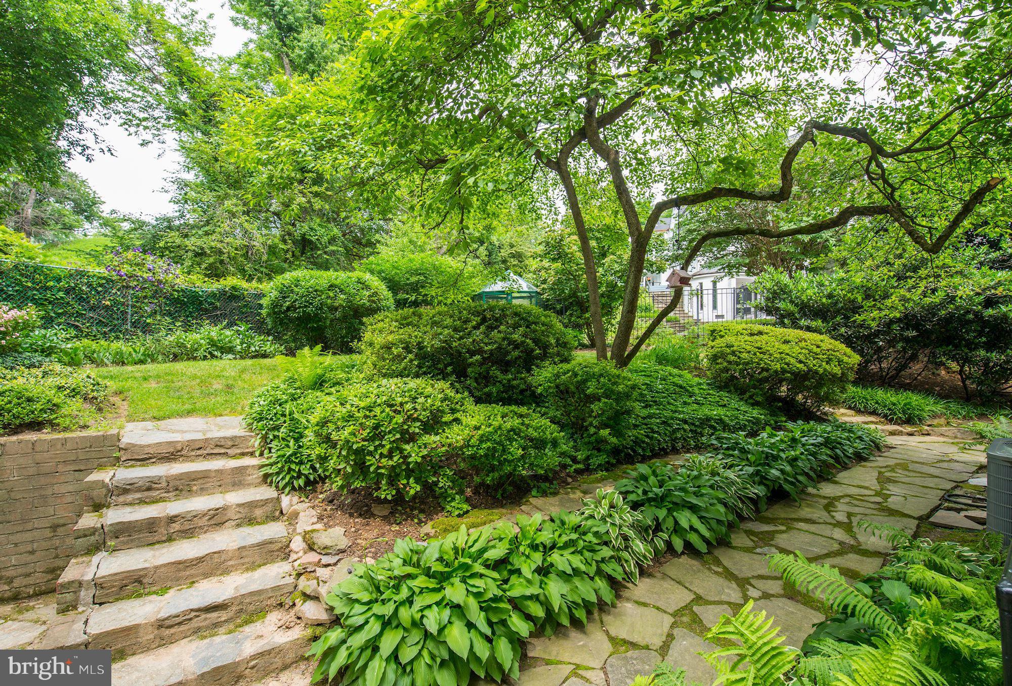 4711 Reservoir Road Northwest Washington, DC 20007 - Photo 24 of 30 Gardens and beautiful landscaping