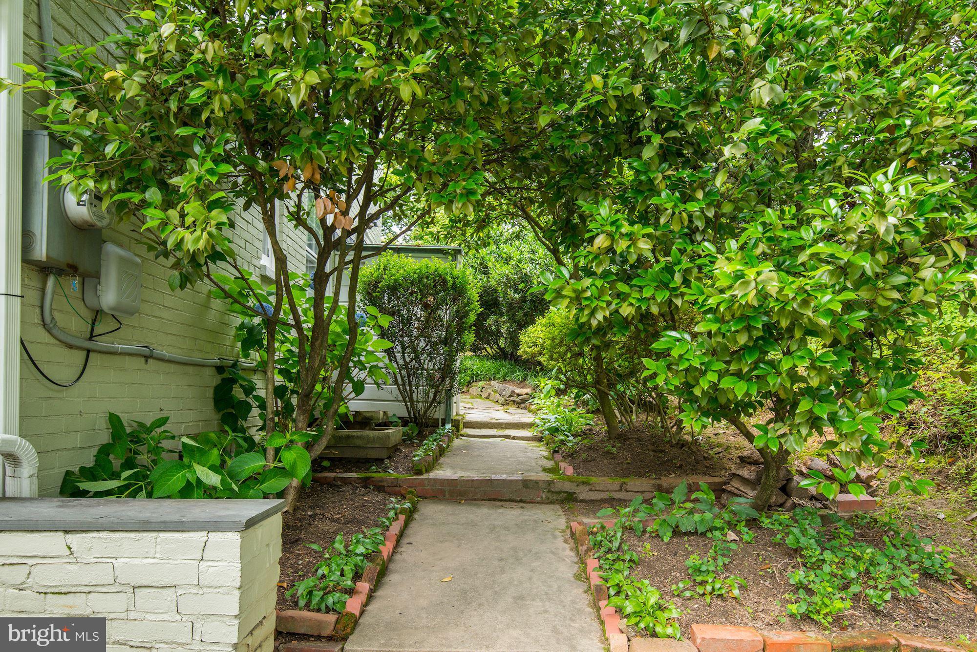 4711 Reservoir Road Northwest Washington, DC 20007 - Photo 25 of 30 Gardens and fountain on the side of the house