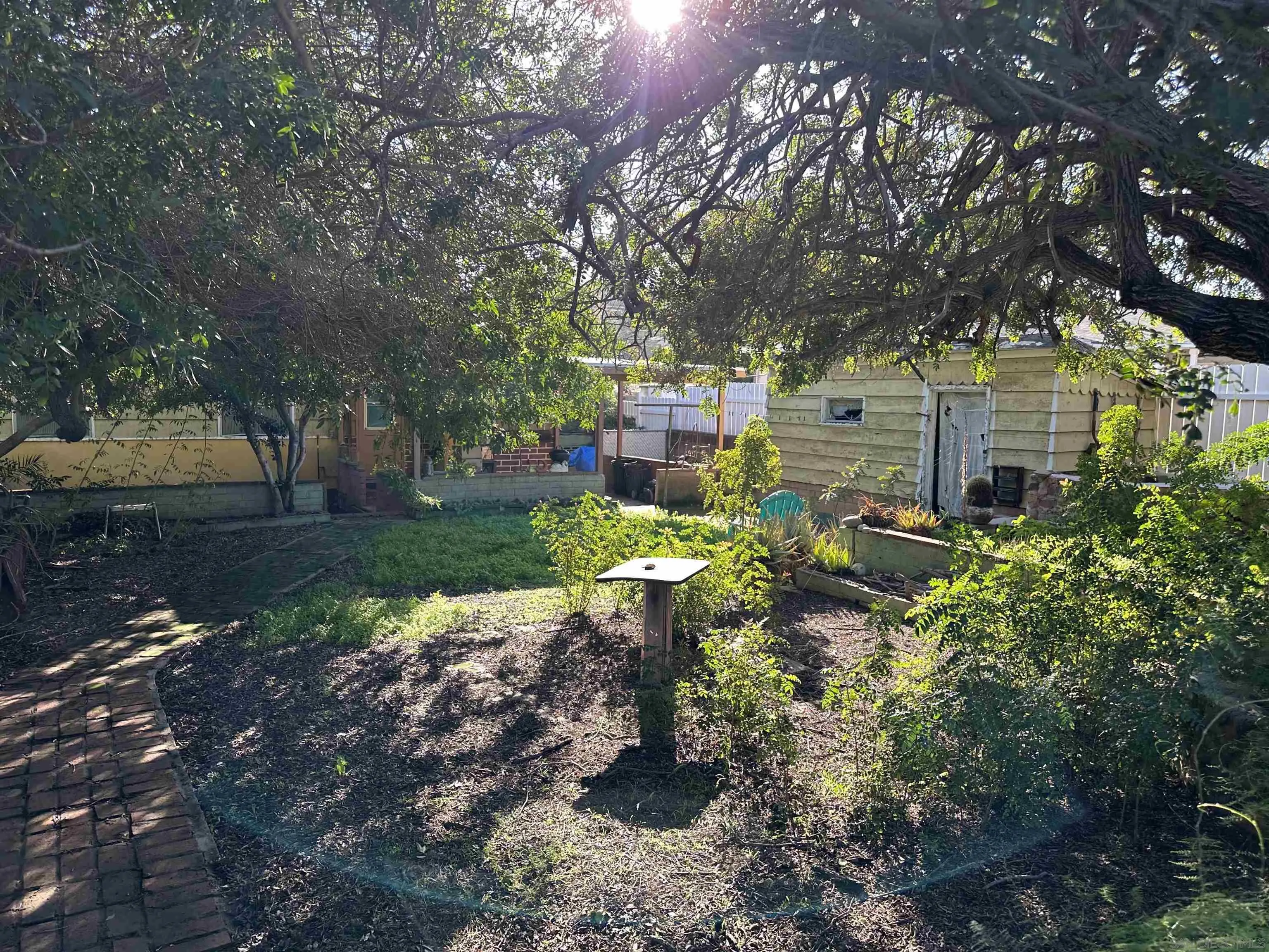 10744 Louisa Drive La Mesa, CA 91941 - Photo 11 of 19 a view of a yard with plants and large trees