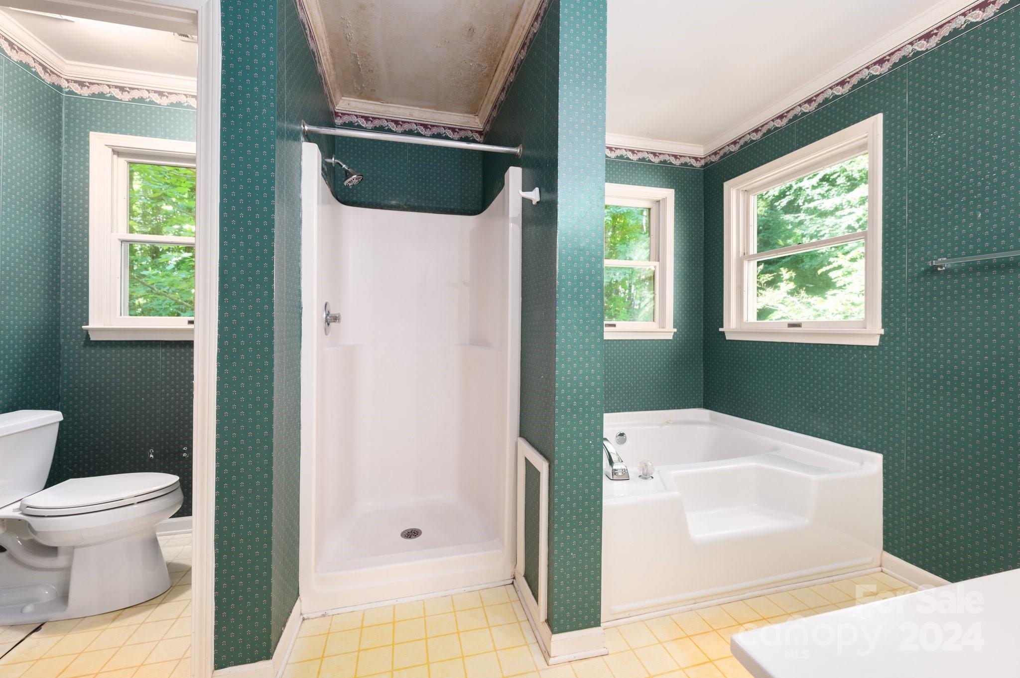 300 Smith Knolls Road Fairview, NC 28730 - Photo 21 of 31 Gallery Image 21