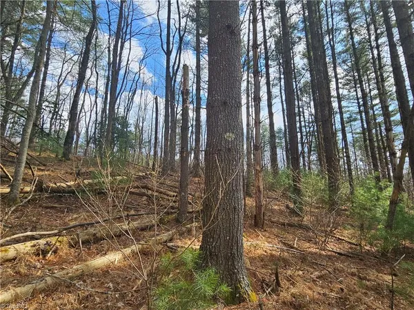 $90,000 | Tbd Panorama Drive, Todd, NC 28684