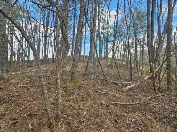 $90,000 | Tbd Panorama Drive, Todd, NC 28684